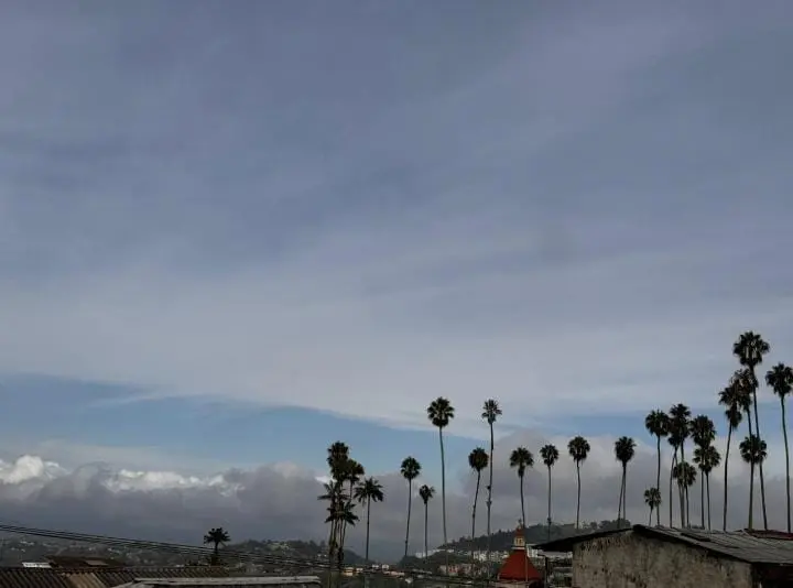 WhatsApp Image 2025-07-24 at 5.01.54 PM (1).webp