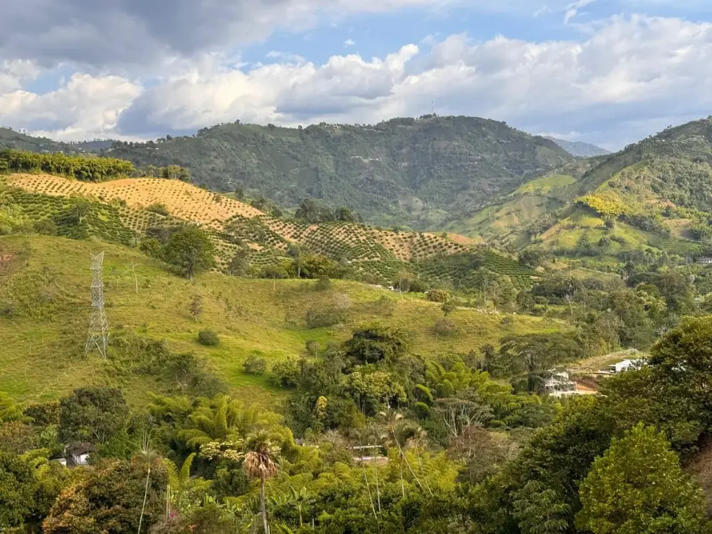 VEREDA EL ROSARIO - LOTE