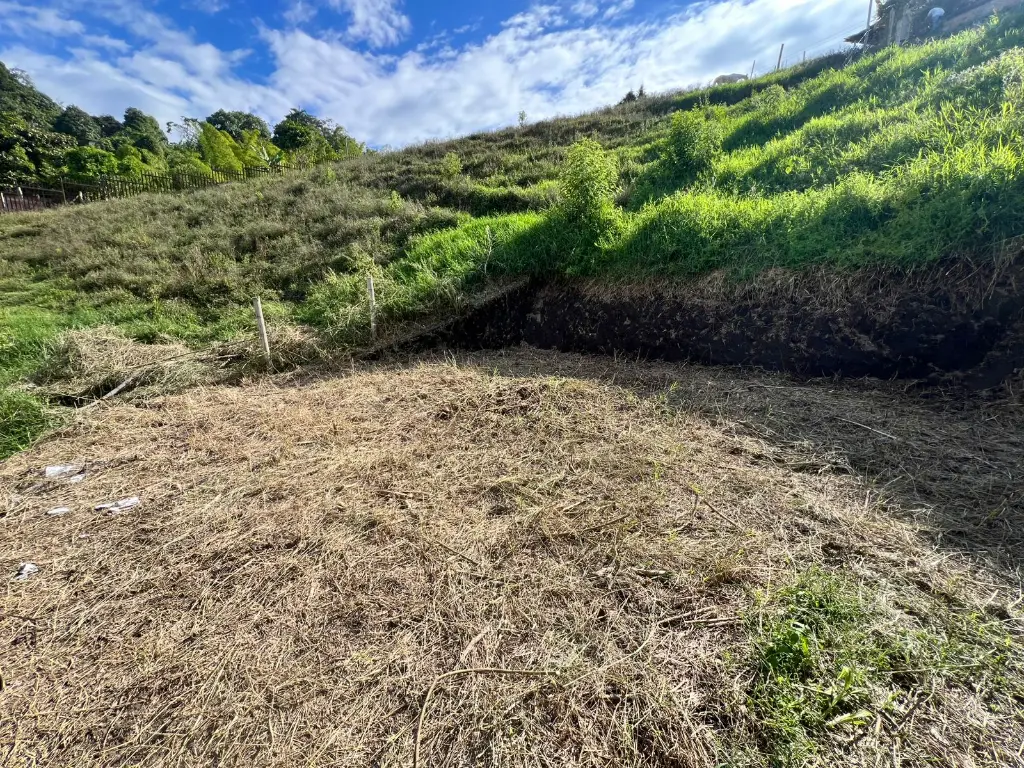 EL ARENILLO - LOTE