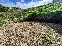EL ARENILLO - LOTE