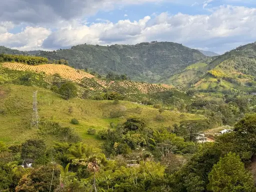 VEREDA EL ROSARIO - LOTE